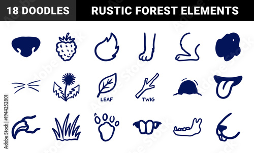 Hand-drawn woodland nature and wildlife elements for rustic brand identity. Naive marker sketch illustrations featuring forest flora and animal anatomy concepts.