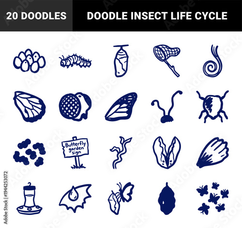 Hand-drawn butterfly life cycle and garden habitat elements for nature education. Rustic, naive marker sketch illustrations featuring monarch metamorphosis concepts.