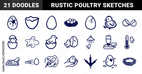 Hand-drawn poultry farming and egg incubation elements for rustic branding. Naive marker sketch illustrations of baby chicks and hatching process.