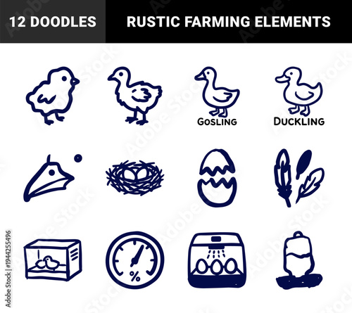 Hand-drawn poultry farming and egg incubation elements in a naive doodle style. Rustic marker sketch illustrations for agricultural branding.
