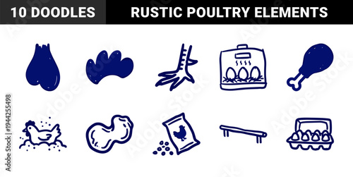 Poultry farming and chicken life cycle elements for agricultural branding. Naive blue marker sketch illustrations featuring eggs and avian anatomy.