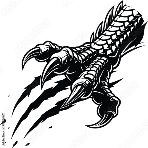 Black outline coloring book Black eagle claw scratching with sharp talons