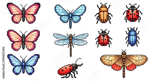 Colorful insects collection butterflies dragonflies and beetles isolated on white