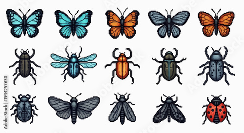 Colorful insect collection illustration for design projects and commercial use