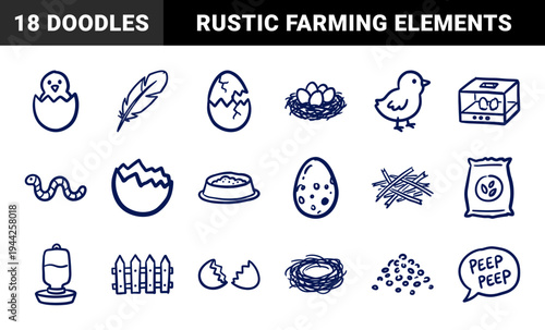 Poultry farming and chicken life cycle elements for organic branding. Rustic naive marker sketch featuring eggs and farm supplies.