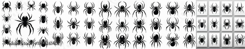 Vector set image silhouette of spider