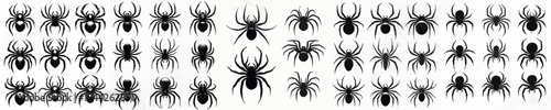 Vector set image silhouette of spider