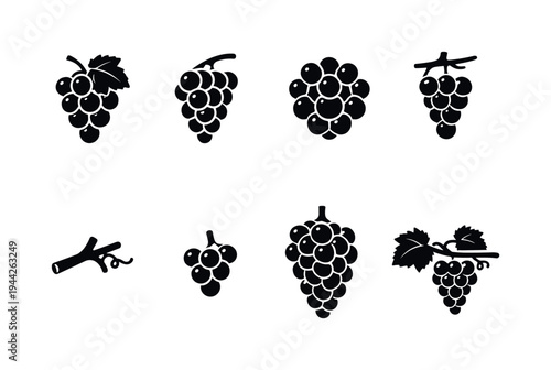Grapes Bunch. Filled icon set of Grapes Bunch: grape bunch with leaf, grape bunch side view, grape cluster top