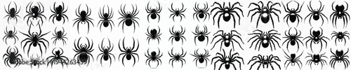 Vector set image silhouette of spider