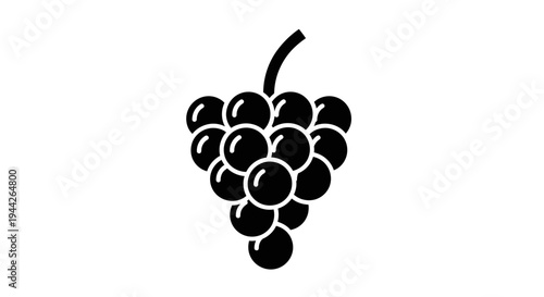 bunch of grapes vector illustration