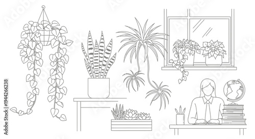 Woman sitting at desk with books.