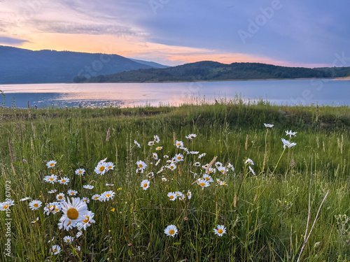 Wildflowers bloom in the foreground near a lake during sunset. Mountains are visible in the background under a colorful sky. Water is still and reflects the light