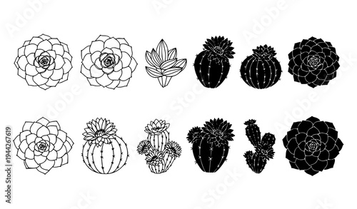 Succulent Rosette and Desert Plant Icons Echeveria Cactus Flower Botanical Outline Silhouette Vector Set