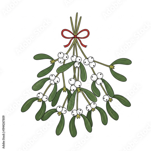 Mistletoe with Berries and Red Ribbon Decoration.