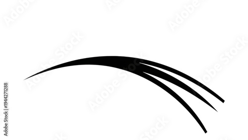 Black eyelashes on a white background with makeup concept