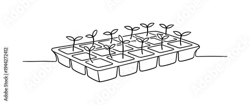 Minimalist Seed Tray. "Greenhouse Seed Tray". Minimalistic one-line drawing propagation tray with multiple