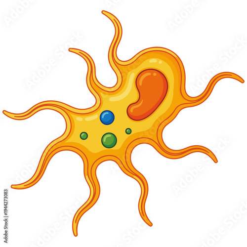 Cartoon Amoeba Bacteria Microbe Cell Vector Science Illustration