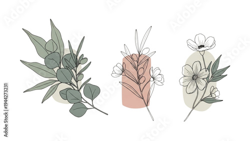 Three minimalistic illustrations of plants with leaves and flowers