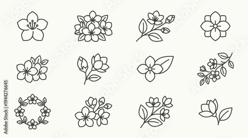 Line art icons showcase various jasmine flowers and leaves in a simple elegant style