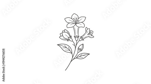 Jasmine floral vector icon pack featuring a single jasmine flower