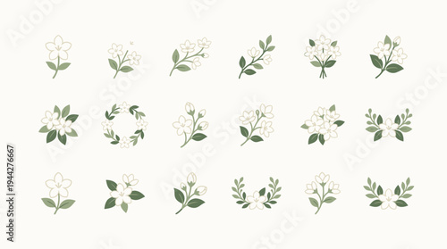 Jasmine blossom silhouette icon set with green leaves and white flowers