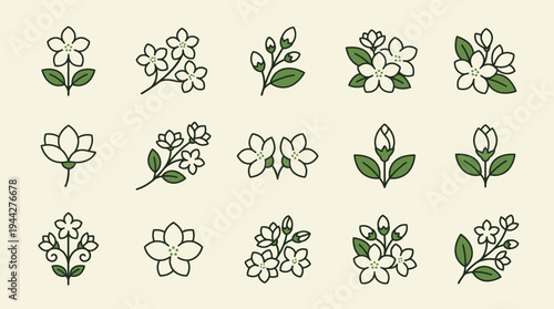 Vector icons of jasmine flowers and leaves in a clean design