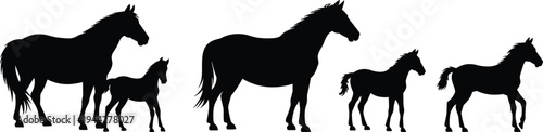 Horse family silhouettes set with mare stallion and foal in different poses farm animal black silhouette vector illustration collection