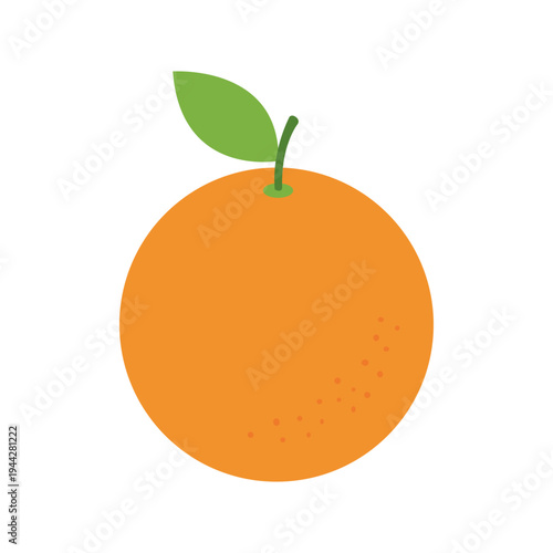 vector illustration of an orange fruit