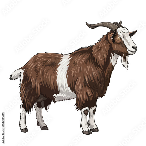 Brown and White Goat with Curved Horns.