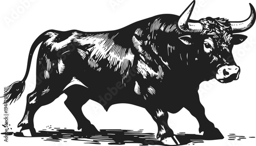 Powerful bull charging forward in dynamic vintage woodcut illustration