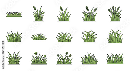 Diverse collection of vector grass tufts, lush green plant elements, and natural reed illustrations, perfect for creating vibrant landscape designs and ecological graphic projects