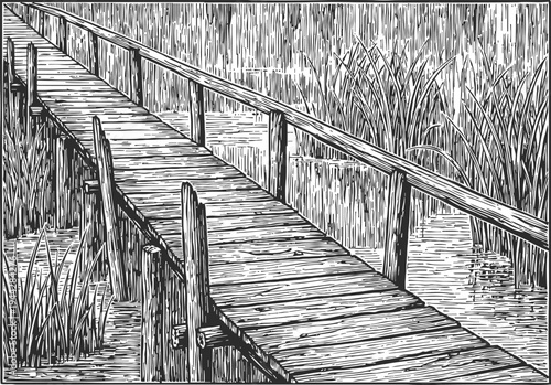 Wooden footbridge over marshland with reeds and water in vintage engraved