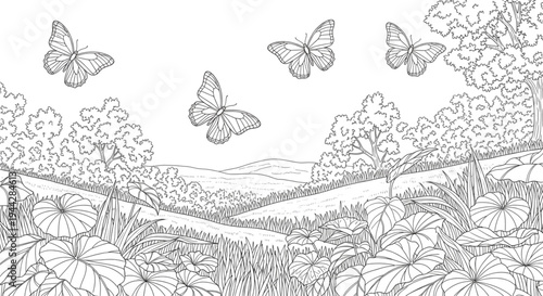 Peaceful Nature Landscape Coloring Page with Flying Butterflies Rolling Hills for Relaxation and Spring Summer Designs