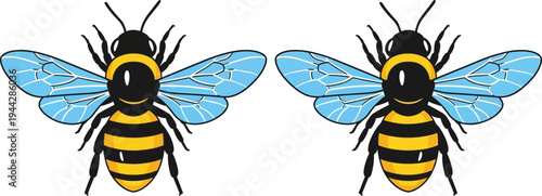 Two colorful bees with blue wings on illustration