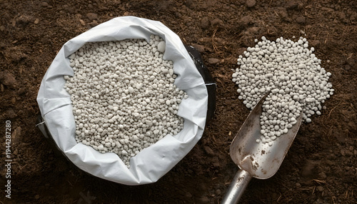 Urea fertilizers inside a packaging bag on planting soil. Urea, also known as carbamide, is an organic compound with the chemical formula CONH22.