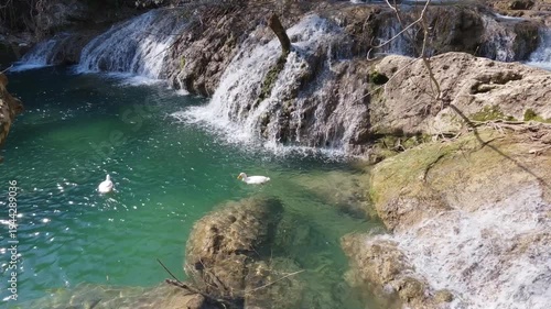 waterfall in the forest