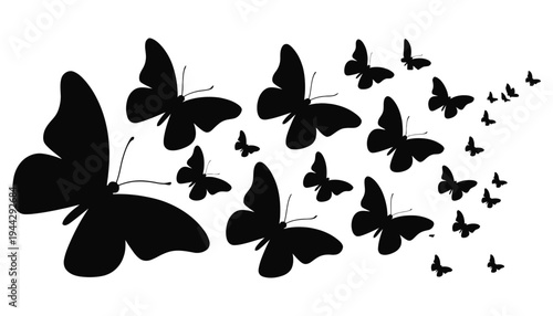 Butterfly silhouette illustration of a flock flying in the air