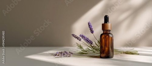 Sunlight Lavender: Apothecary Calm. Copy space. 