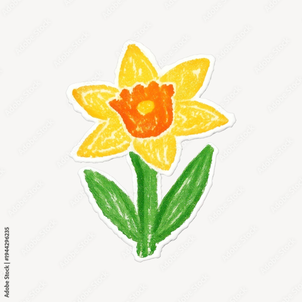 Fototapeta premium Colorful crayon daffodil drawing