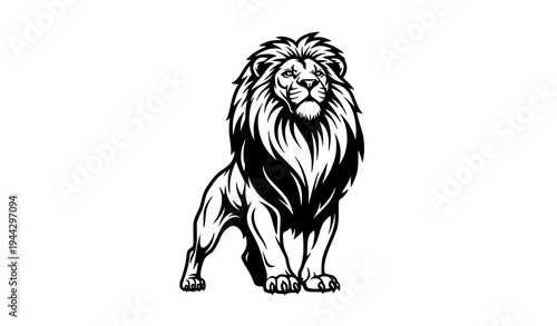 Majestic black and white lion vector illustration in victorious standing pose with detailed mane line art