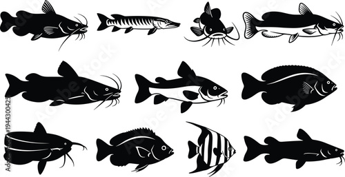 Fish silhouette set with catfish, pike, angelfish, and tropical species vector illustrations for fishing tournaments, seafood logos, aquarium shops, and aquatic nature graphic designs.