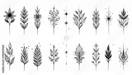Stylized Botanical Illustrations with Geometric Accents in Black and Gray