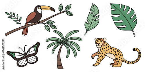 A vibrant illustration of a toucan, butterfly, palm tree, and tiger