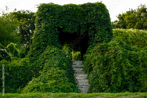 Fotografia Stone staircase covered in lush green ivy leading to a dark mysterious archway