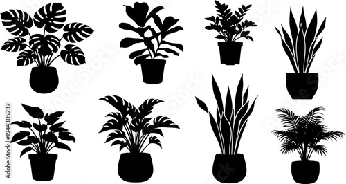 set of potted houseplants in silhouette on white background for design