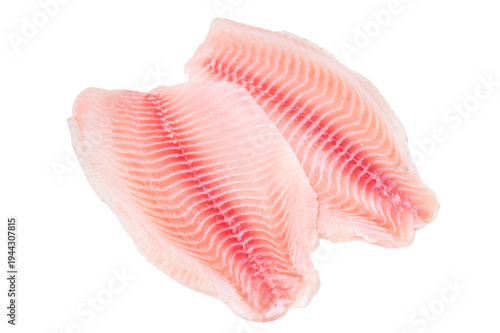 Raw tilapia fillet isolated on white background, fresh freshwater fish meat from aquaculture with visible muscle texture.