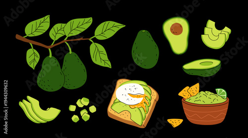 Cartoon set with avocado fruit on branch with leaves. Whole avocado, half and slices, cubes. Avocado toast with poached egg, bowl of guacamole with lime and nachos. Flat vector set