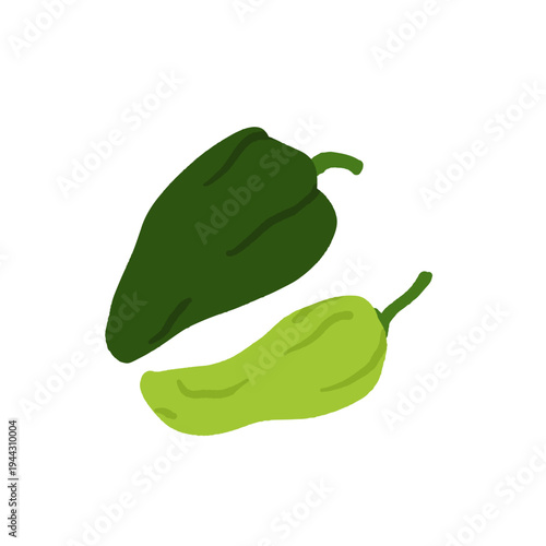 Pepper variety set. Bell, chili, jalapeno, habanero, banana, poblano, cayenne, sweet pepper types. Vegetable collection hand drawn vector illustration