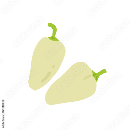 Pepper variety set. Bell, chili, jalapeno, habanero, banana, poblano, cayenne, sweet pepper types. Vegetable collection hand drawn vector illustration
