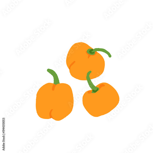 Pepper variety set. Bell, chili, jalapeno, habanero, banana, poblano, cayenne, sweet pepper types. Vegetable collection hand drawn vector illustration